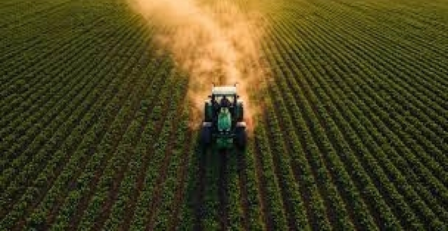 Área de lavouras protegidas por seguro rural despenca 76% em cinco anos