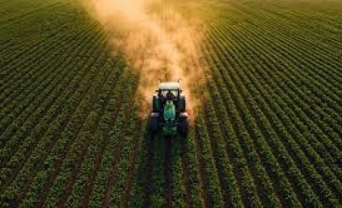 Área de lavouras protegidas por seguro rural despenca 76% em cinco anos