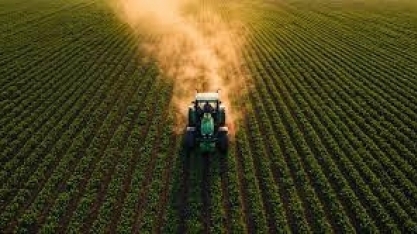 Área de lavouras protegidas por seguro rural despenca 76% em cinco anos