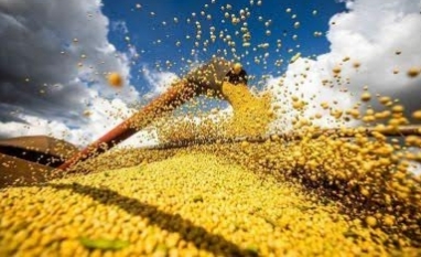 Com maior produtividade da soja, colheita de grãos deve alcançar novo recorde