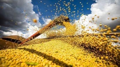 Com maior produtividade da soja, colheita de grãos deve alcançar novo recorde