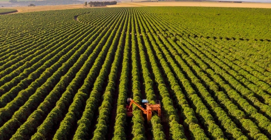 Inadimplência no agronegócio ainda deve piorar, vê BTG