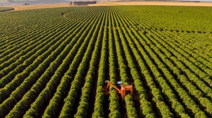 Inadimplência no agronegócio ainda deve piorar, vê BTG