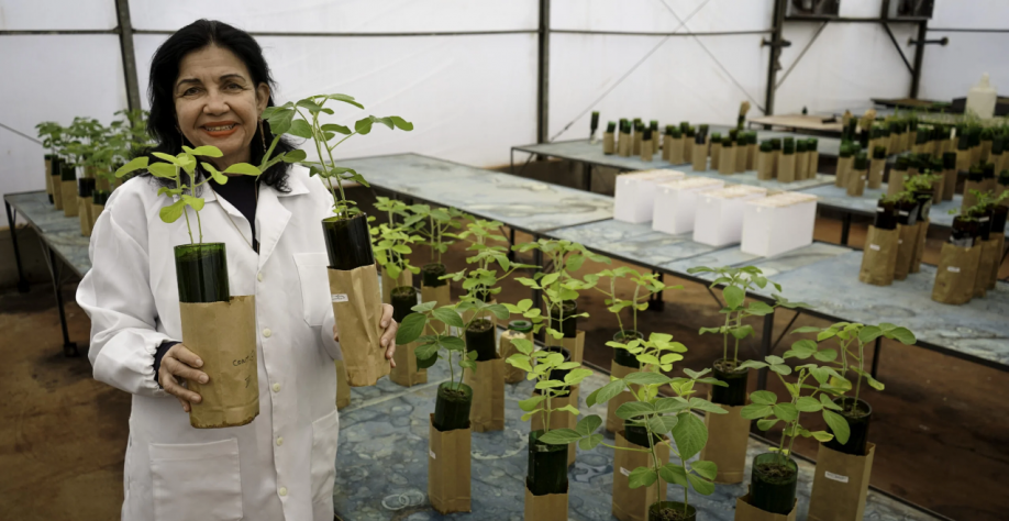 Cientista entra na lista dos 100 mais influentes do mundo da revista Time