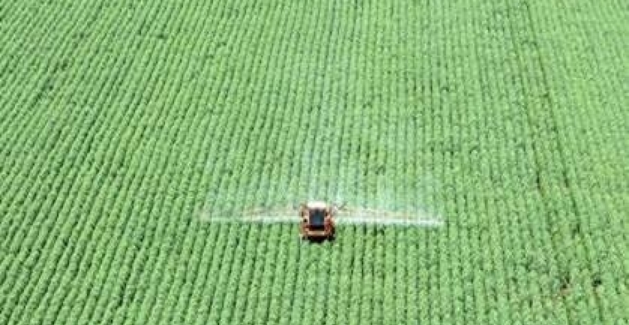 O agro brasileiro diante do triplo choque: crédito, guerra e clima