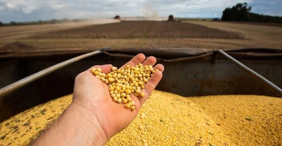 USDA reduz previsão para exportações de soja dos EUA em 2025/26