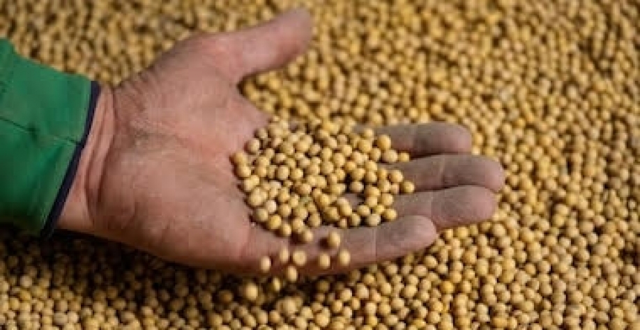 Soja: Enquanto se discutem contratos do passado, a China planeja o futuro