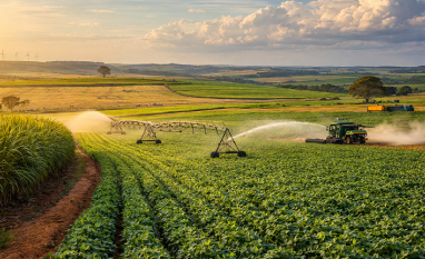 Por que o próspero agro vive uma escalada de recuperações judiciais?