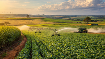 Por que o próspero agro vive uma escalada de recuperações judiciais?