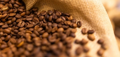 Café: Exportações devem crescer no 2º semestre após queda no início do ano