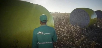 SLC Agrícola (SLCE3): Lucro encolhe 53,8%, para R$ 236 milhões no 1T26      Pasquale Augusto