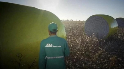 SLC Agrícola (SLCE3): Lucro encolhe 53,8%, para R$ 236 milhões no 1T26      Pasquale Augusto