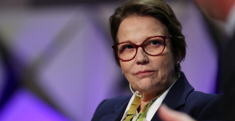 “Governo tem de entender que agro é essencial à economia brasileira” 