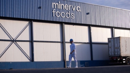 Minerva (BEEF3): Lucro recua 52,8% no 1T26, para R$ 87,3 milhões