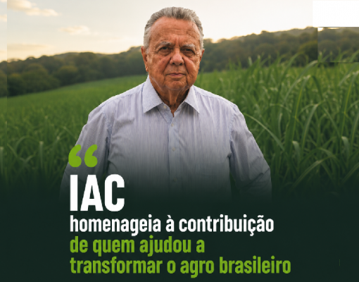 Imagem Reprodução Blog Jornalista Felipe Vieira