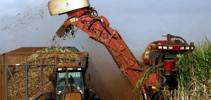 Copersucar vê mercado de açúcar equilibrado e preços dependendo do etanol