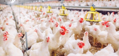 MBRF: Lucro cresce 26%, para R$ 111 milhões no 1T26
