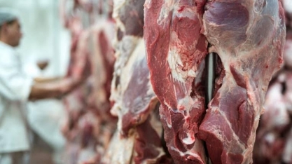 Brasil pressiona China para permitir mais embarques de carne bovina 