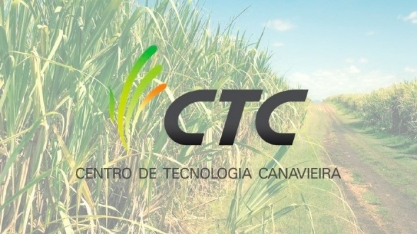 CNTBio aprova cana transgênica do CTC resistente à broca e a herbicida 