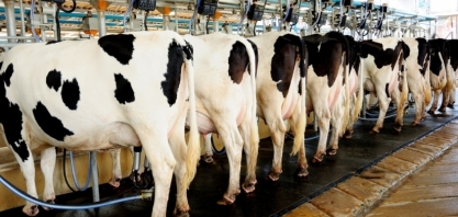 Com oferta menor, preço do leite sobe 18% no 1º trimestre no campo 