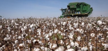 Estamos preparados para a ‘tempestade perfeita’ no agro brasileiro?