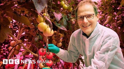 Holanda: 3º maior exportador de alimentos apesar de território pequeno