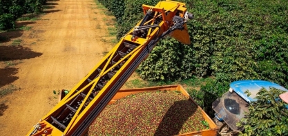 Funcafé terá recursos de R$ 7,3 bilhões na safra 2026/27