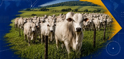 Agro: Por que o Brasil produz tanto, mas captura tão pouco valor?