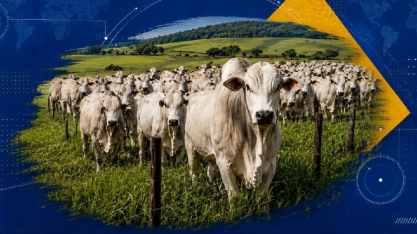 Agro: Por que o Brasil produz tanto, mas captura tão pouco valor?