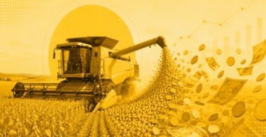Investimento público não é mais suficiente para financiar o agro, diz FGV