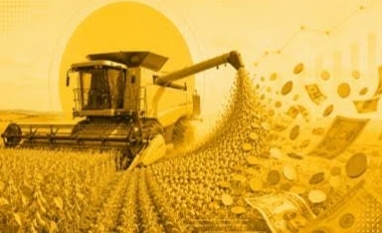 Investimento público não é mais suficiente para financiar o agro, diz FGV