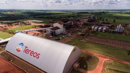 Tereos celebra resultado na safra 2025/26, mesmo com lucro menor