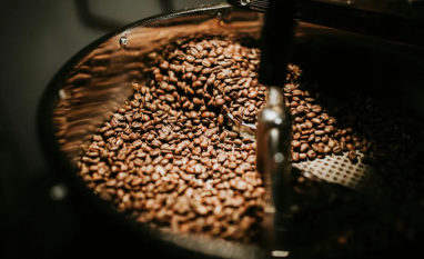 Volume de exportação de café recua frente à safra anterior, diz Cepea