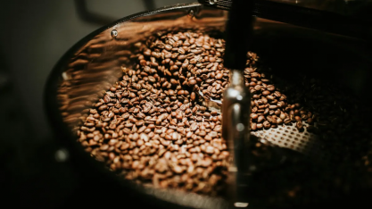 Volume de exportação de café recua frente à safra anterior, diz Cepea