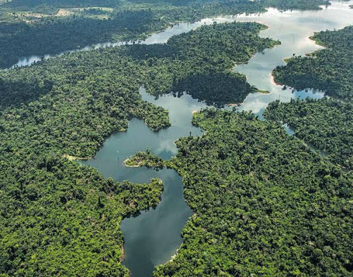 As commodities fizeram a sua parte; o Estado brasileiro, não  