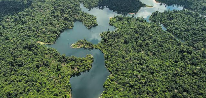 As commodities fizeram a sua parte; o Estado brasileiro, não  