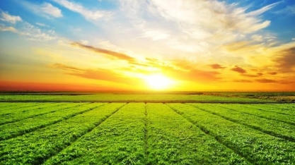 Agropecuária cresce 2% no 1º trimestre e impulsiona PIB do Brasil