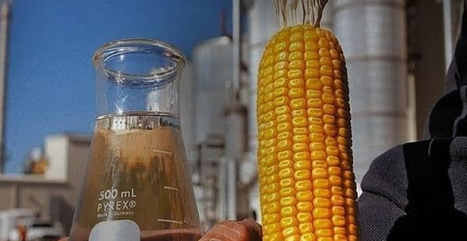 CerradinhoBio ampliou lucro em 90% em 2025/26 e aposta em etanol de milho
