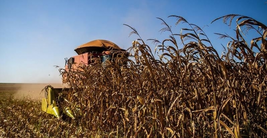 Agro inicia 2026 em alta, mas tendência é de perda de ritmo