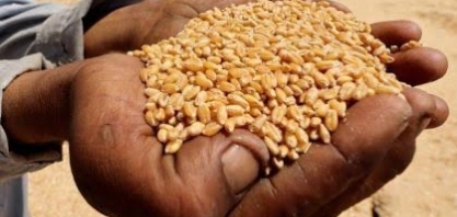 El Niño poderá reduzir a produção de grãos no Brasil – Por Pedro Côrtes