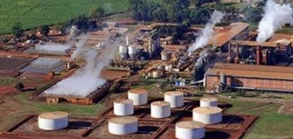 Jalles teve prejuízo de R$ 50,9 milhões no 4º trimestre da safra 2025/26