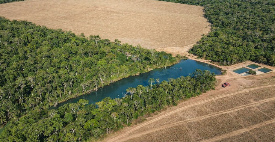 Agro e florestas, uma aliança positiva inquestionável