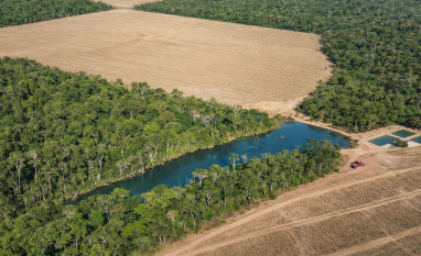 Agro e florestas, uma aliança positiva inquestionável