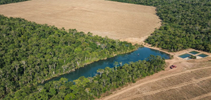 Agro e florestas, uma aliança positiva inquestionável