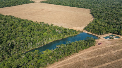 Agro e florestas, uma aliança positiva inquestionável