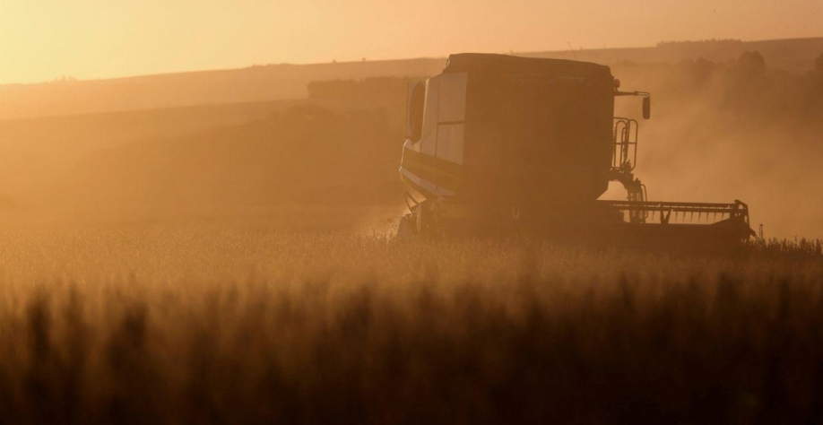 Leilões de propriedades rurais disparam com avanço da dívida rural
