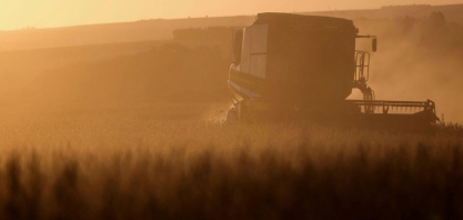 Leilões de propriedades rurais disparam com avanço da dívida rural