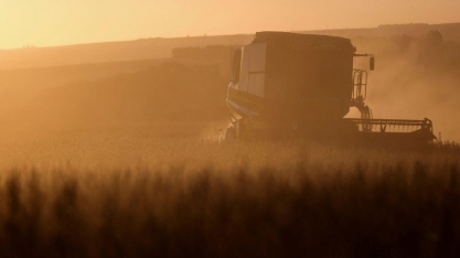 Leilões de propriedades rurais disparam com avanço da dívida rural