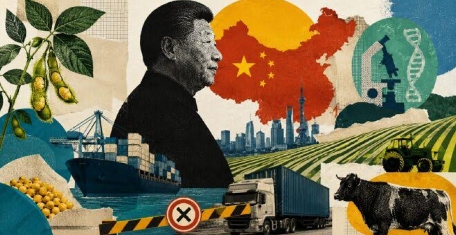 Plano da China por autossuficiência alimentar ameaça o agro brasileiro