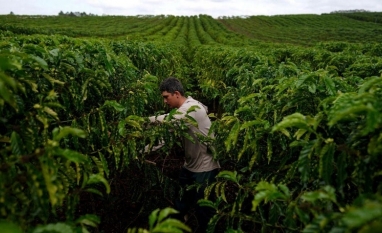 Veto a Lei dos Safristas prejudica trabalhador e ignora realidade do campo
